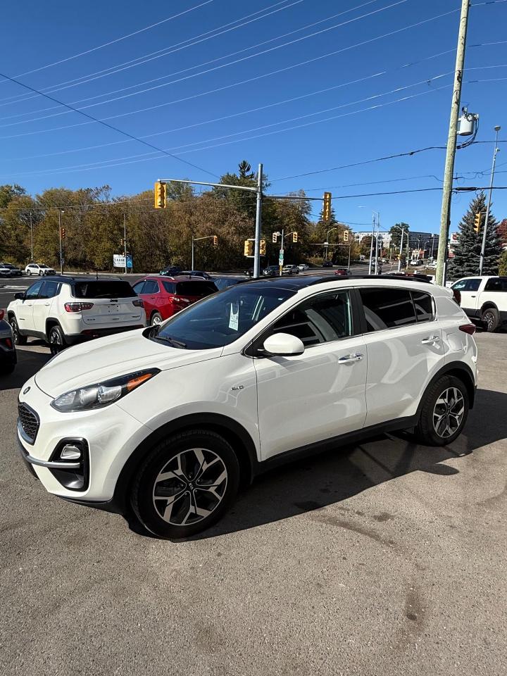 2020 Kia Sportage EX Photo