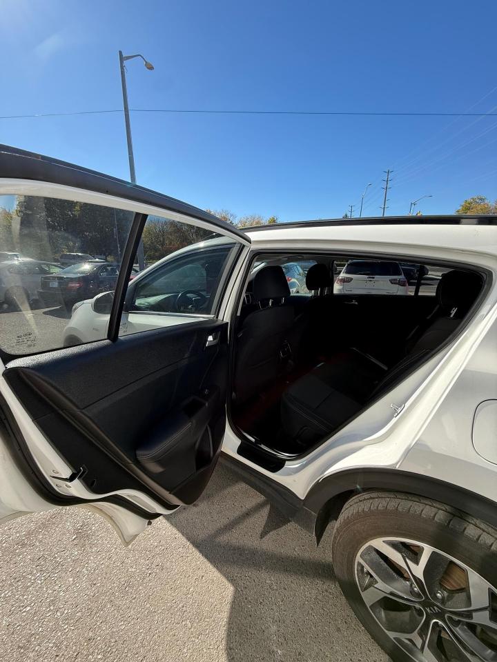 2020 Kia Sportage EX Photo