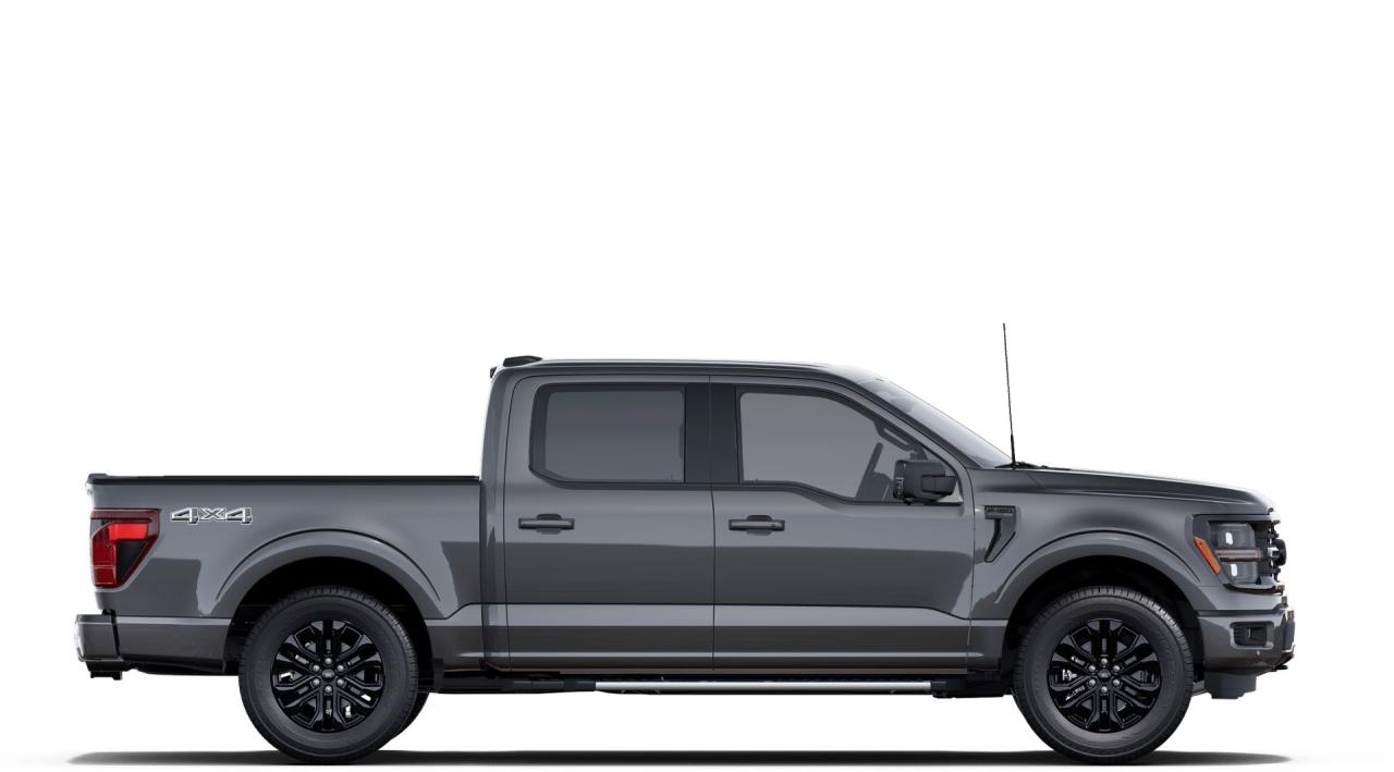 2025 Ford F-150  Photo4
