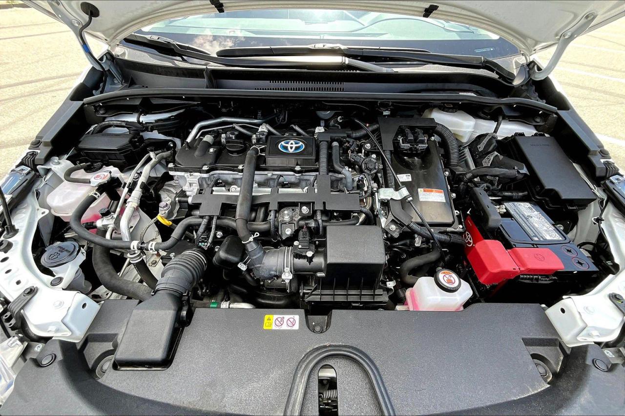 12550964