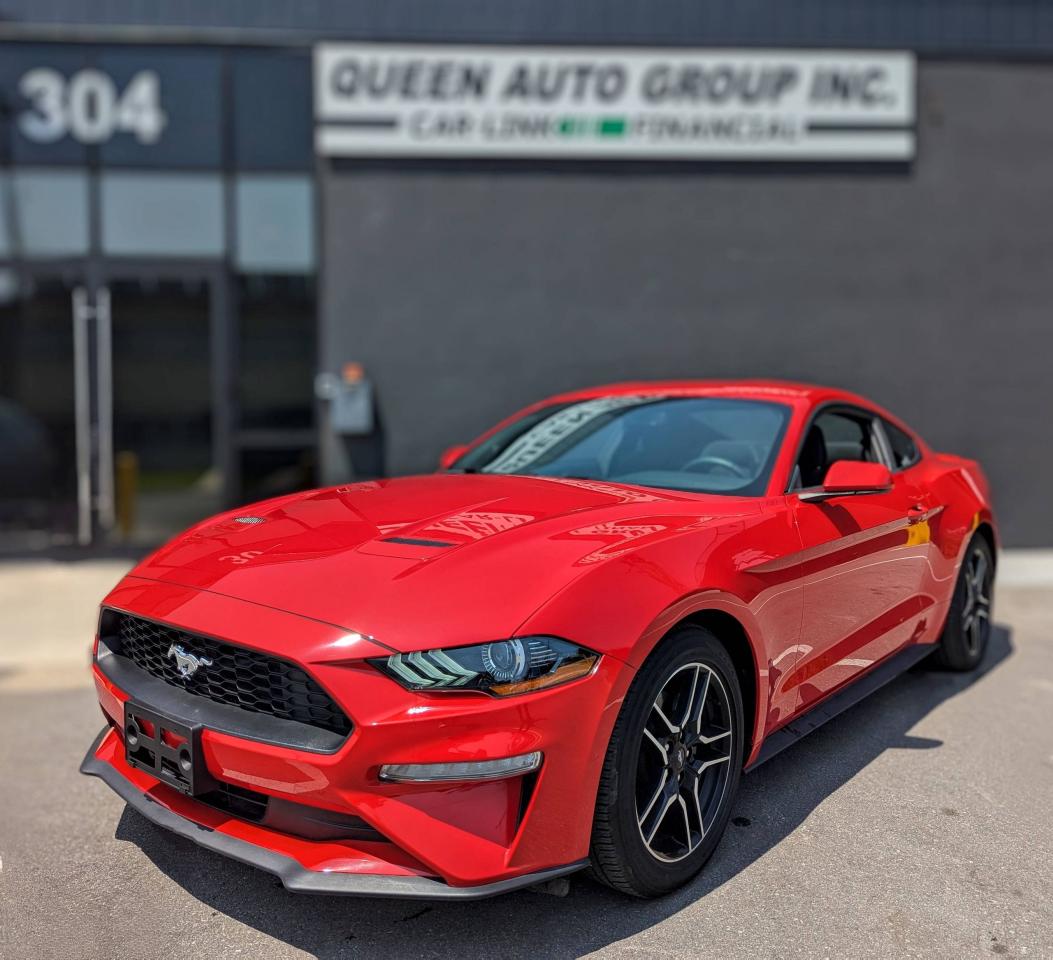 Used 2019 Ford Mustang EcoBoost Fastback for sale in Toronto, ON