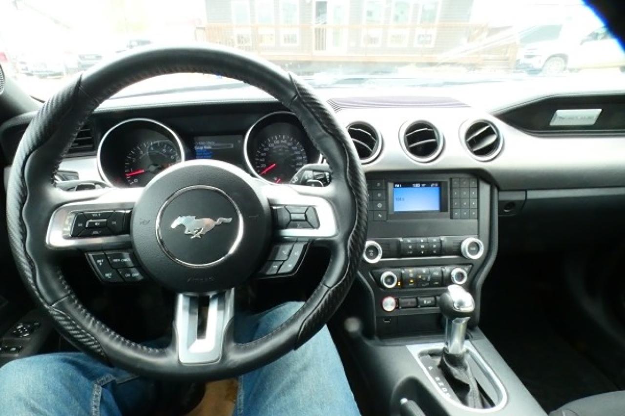 2022 Ford Mustang GT 5.0 w/Power cloth seats, BUC - Photo #11
