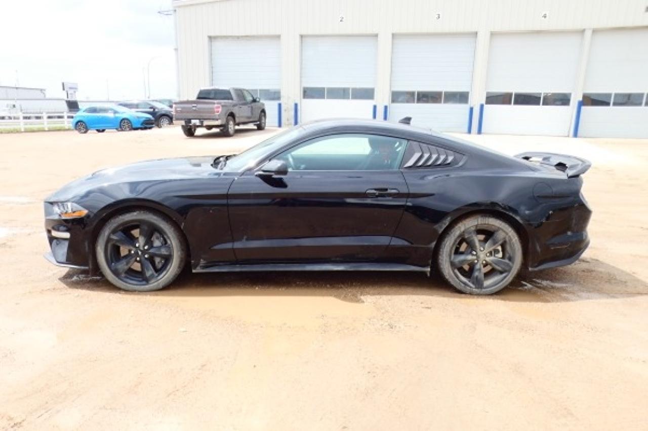 2022 Ford Mustang GT 5.0 w/Power cloth seats, BUC - Photo #1