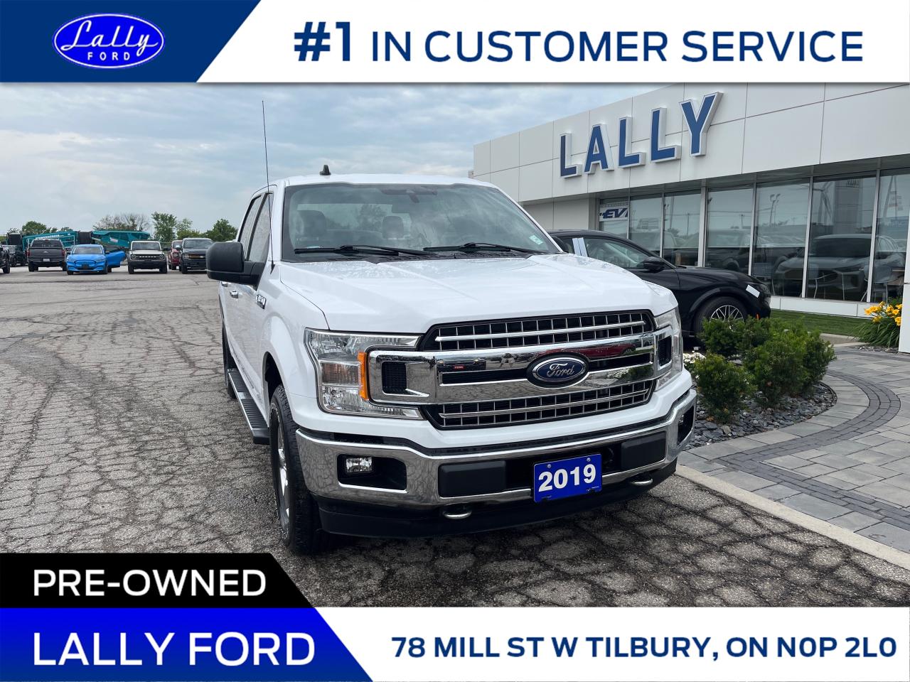Used 2019 Ford F-150 XLT 2.7 V6, Trailor Tow, Local Trade!! for sale in Tilbury, ON