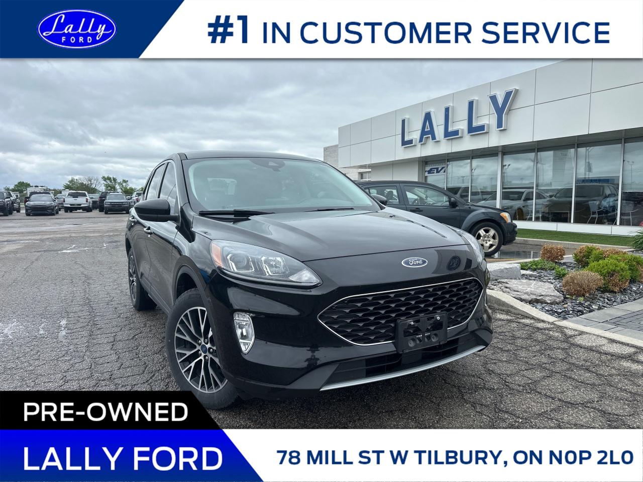 Used 2022 Ford Escape PHEV SEL One Owner, Local Trade, Power Liftgate! for sale in Tilbury, ON