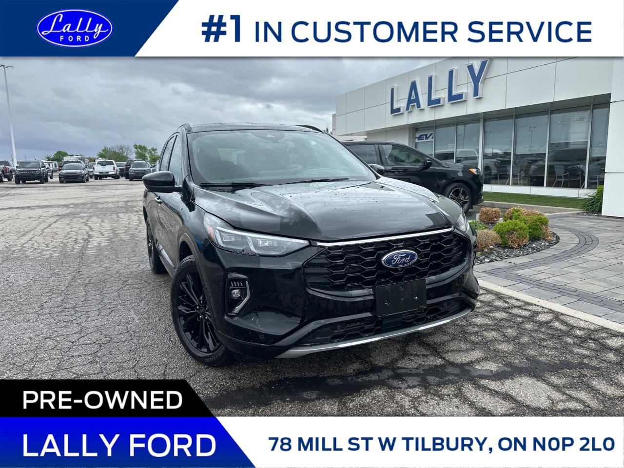 Used 2023 Ford Escape ST-Line Elite AWD, One Owner, Low Kms!! for sale in Tilbury, ON