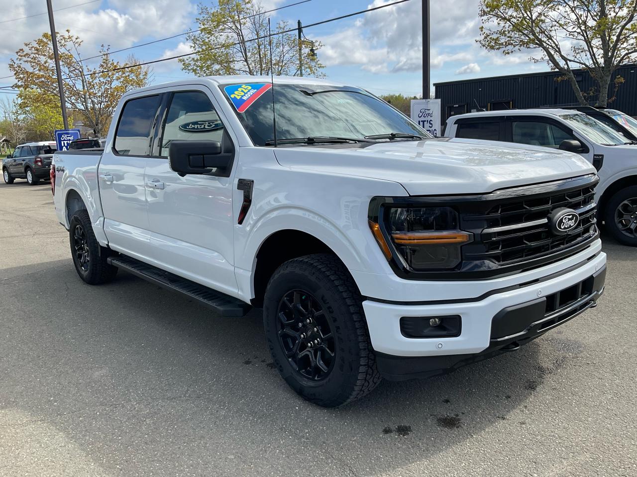 2025 Ford F-150 XLT Photo