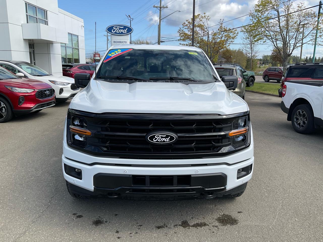 2025 Ford F-150 XLT Photo1