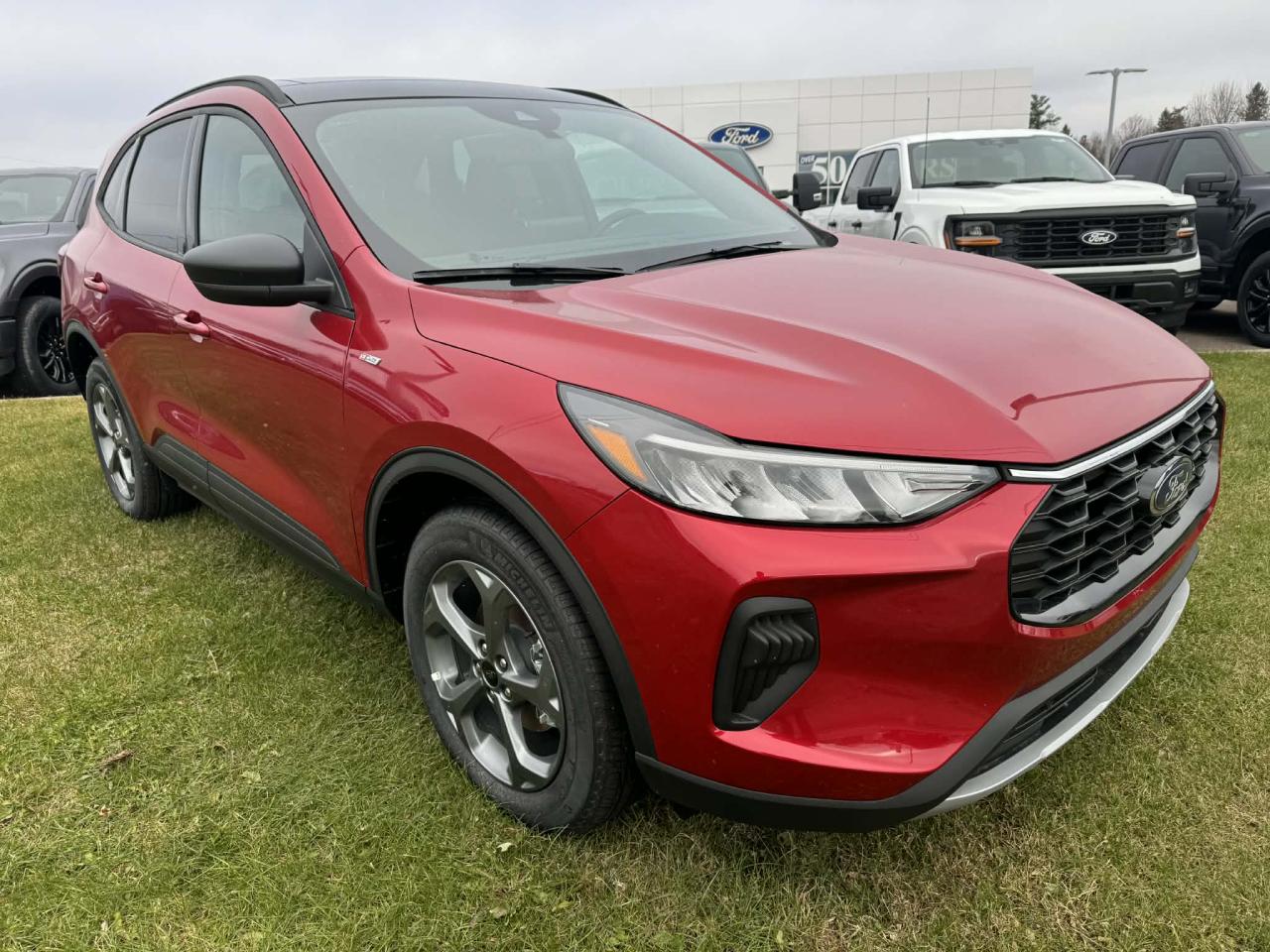 2025 Ford Escape ST-Line Photo4
