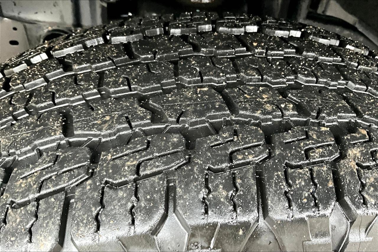 12554024