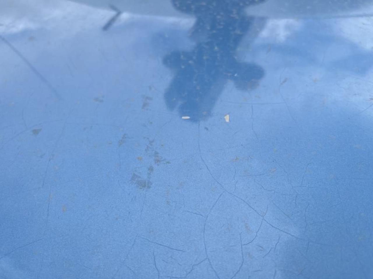12554384