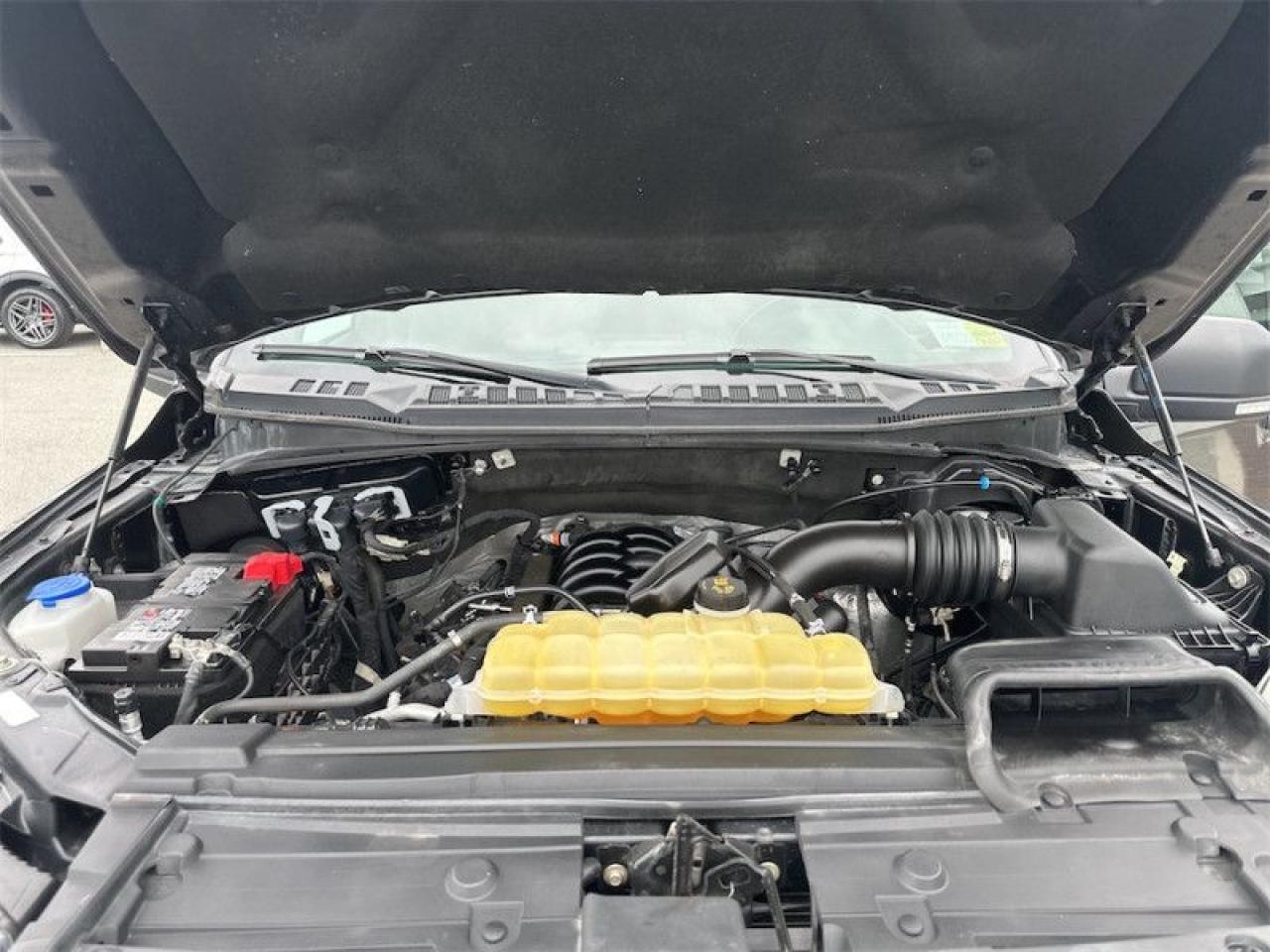 2020 Ford F-150 XLT Photo5