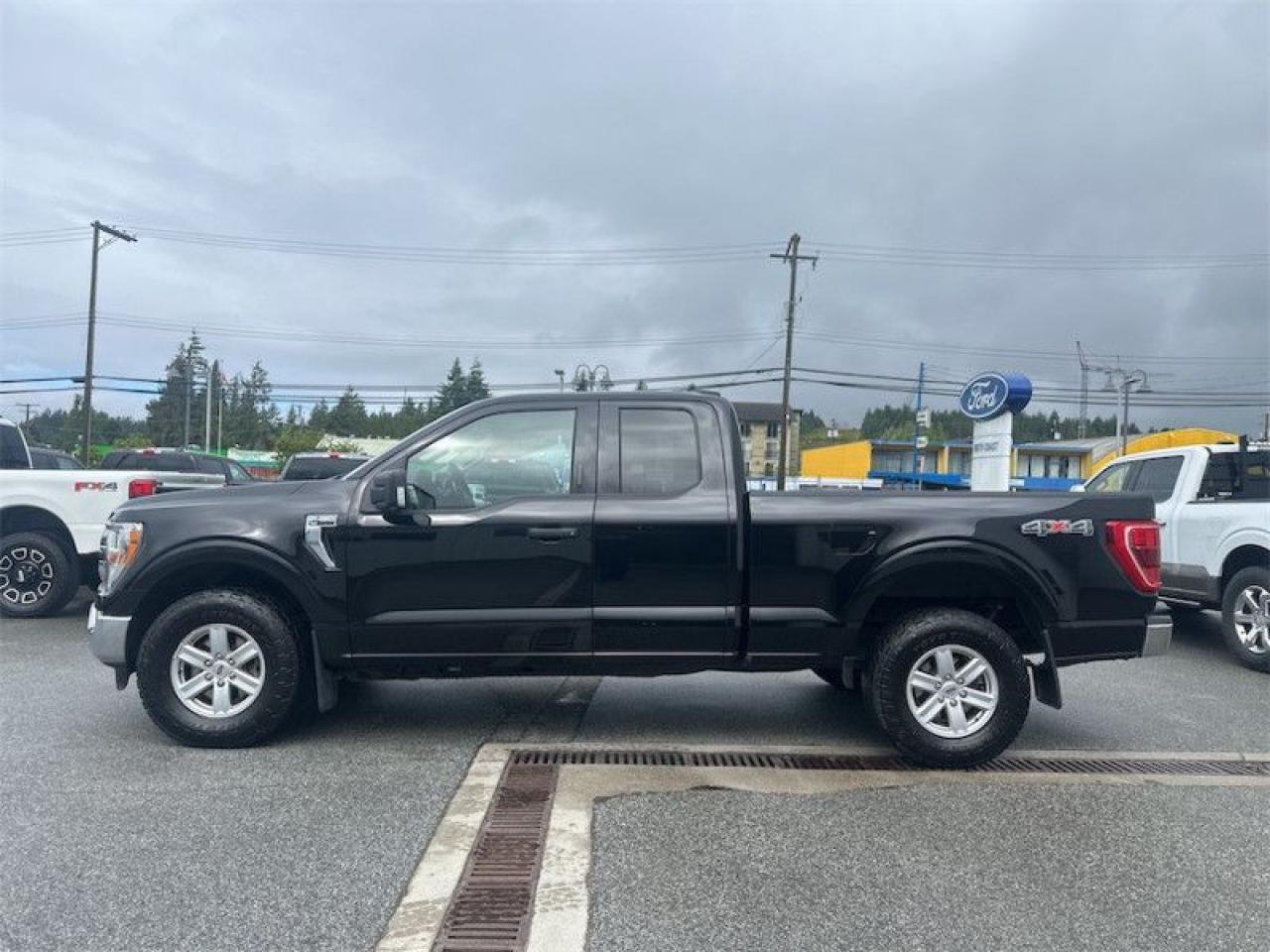 2021 Ford F-150 XLT Photo