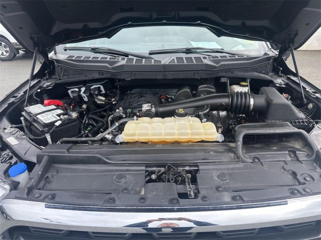 2021 Ford F-150 XLT Photo5