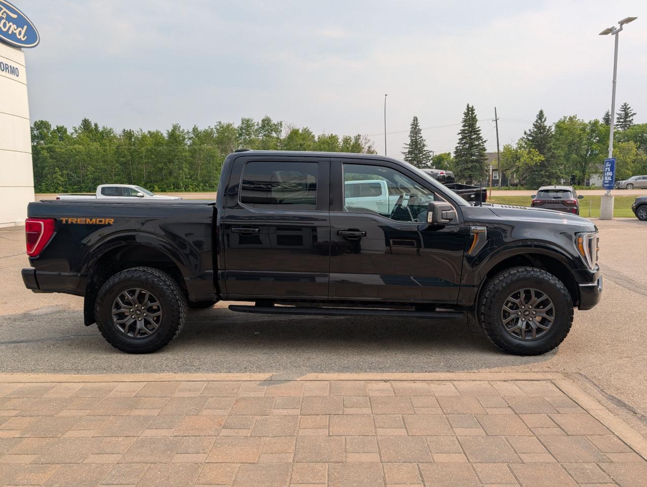 2022 Ford F-150 Tremor Photo4