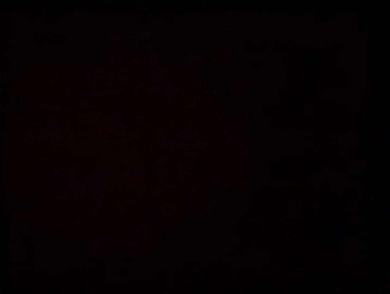 12555575