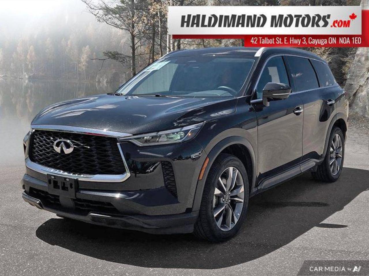 Used 2024 Infiniti QX60 LUXE for sale in Cayuga, ON