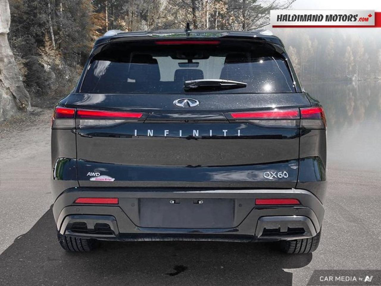2024 Infiniti QX60 LUXE AWD | 360 Camera | Leather Photo