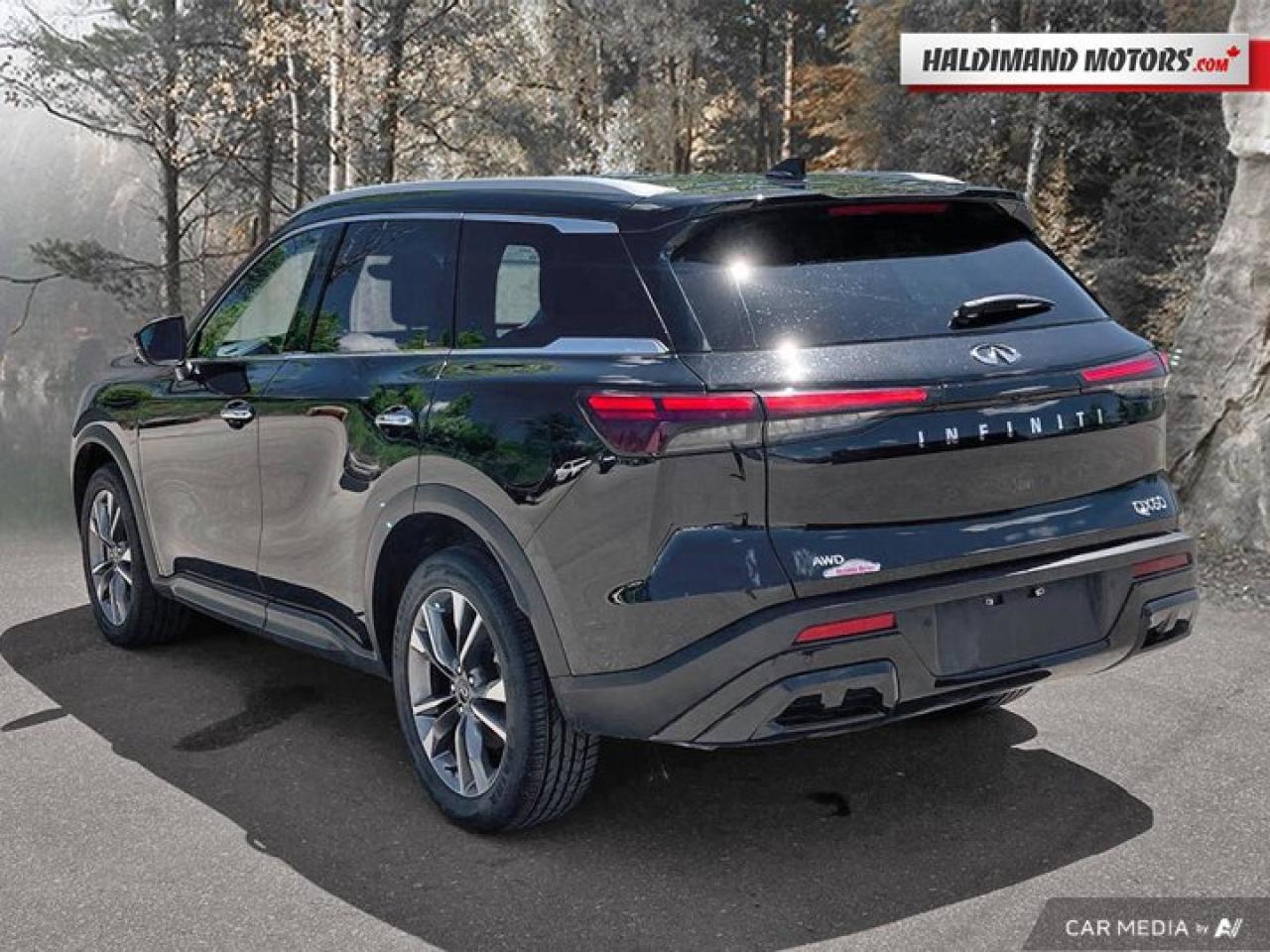 2024 Infiniti QX60 LUXE AWD | 360 Camera | Leather Photo
