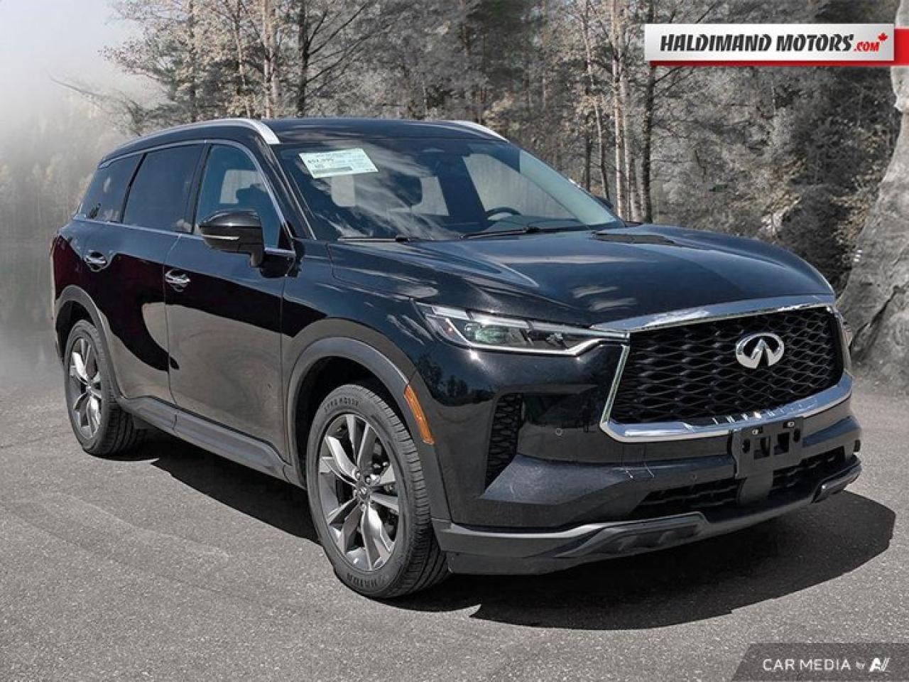 2024 Infiniti QX60 LUXE AWD | 360 Camera | Leather Photo