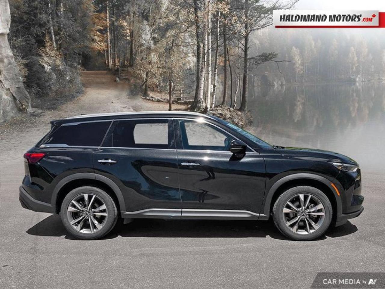 2024 Infiniti QX60 LUXE AWD | 360 Camera | Leather Photo