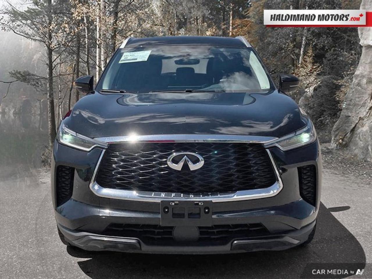 2024 Infiniti QX60 LUXE AWD | 360 Camera | Leather Photo