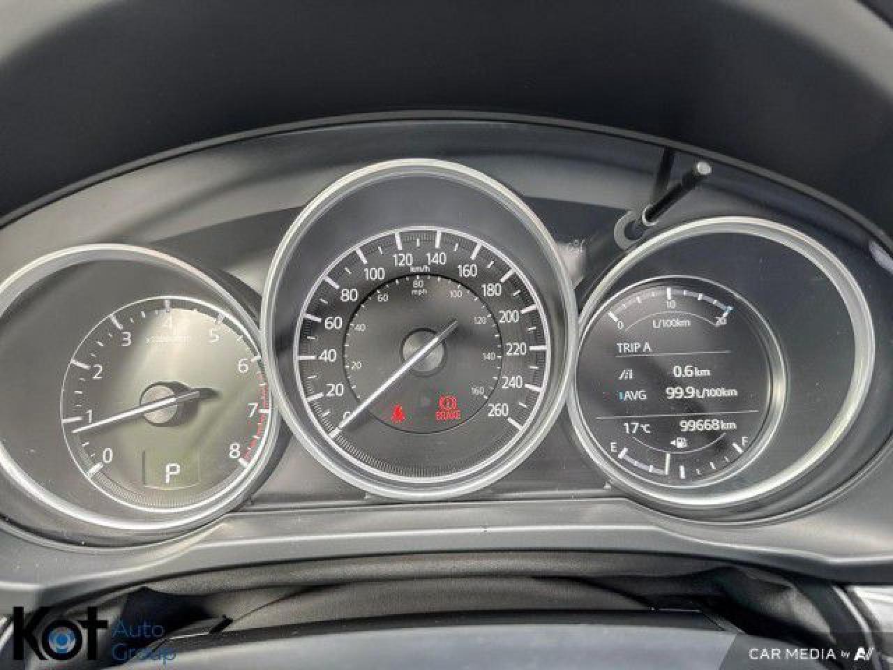 12556244
