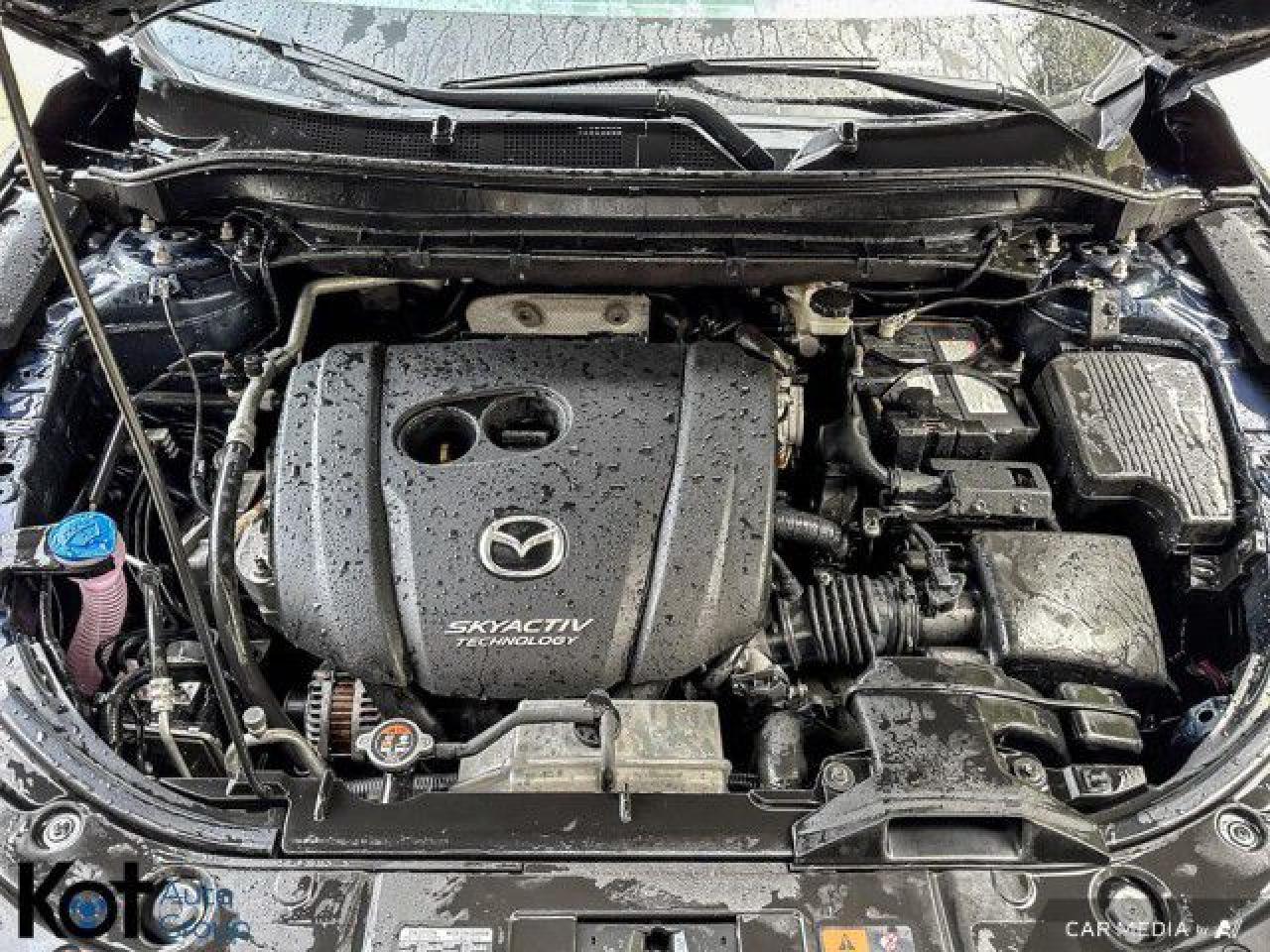 12556244