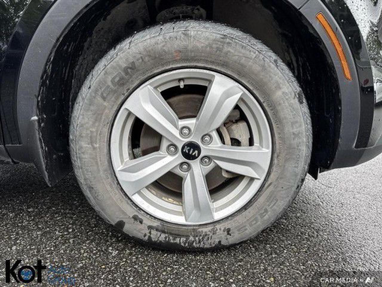 12556265