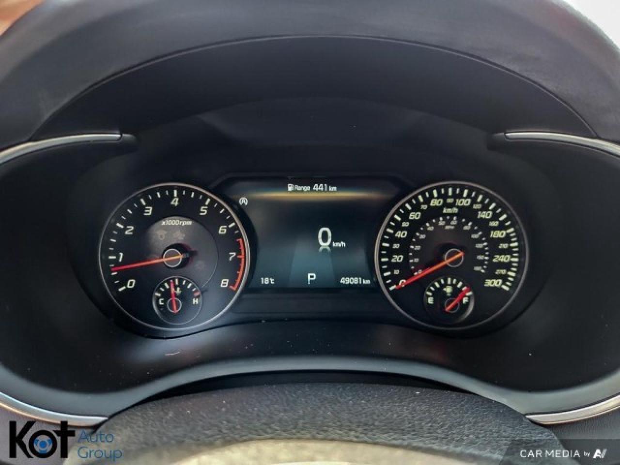 12556364