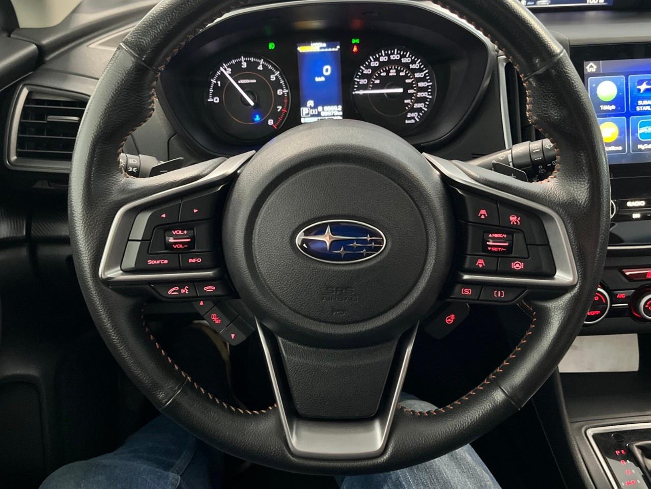 12556397