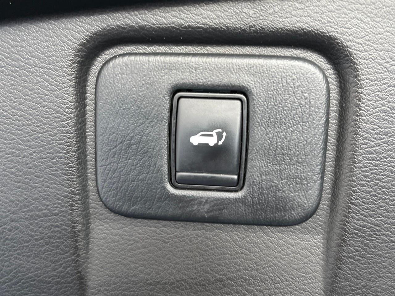 12556412