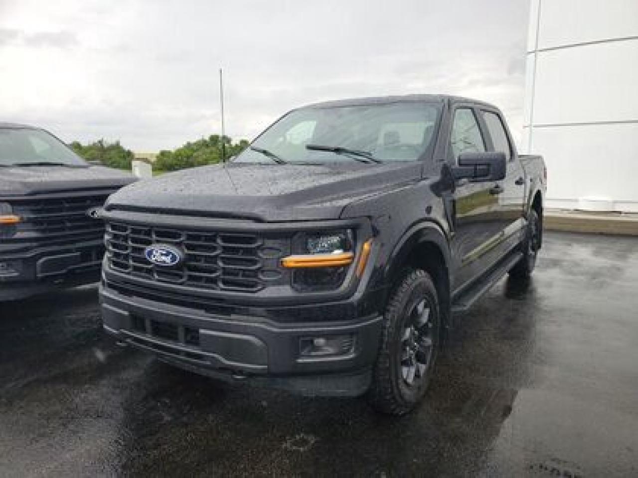 New 2025 Ford F-150 STX for sale in Moose Jaw, SK
