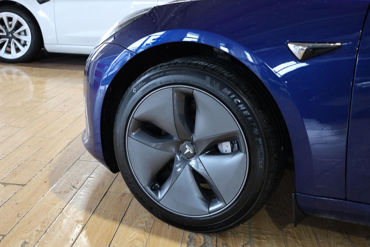 2019 Tesla Model 3 Standard Range Plus - AUTOPILOT|NAVIGATION|CAMERA - Photo #6