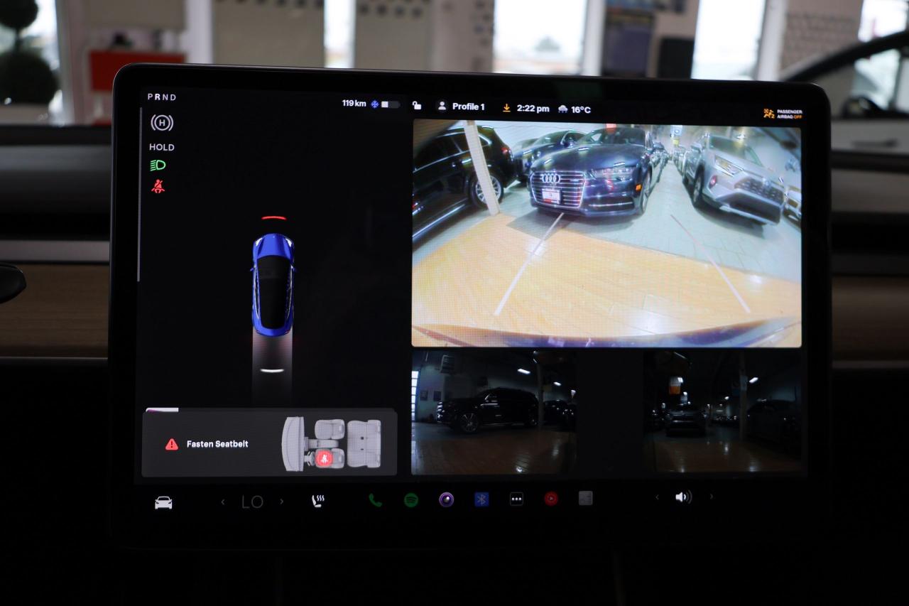 2019 Tesla Model 3 Standard Range Plus - AUTOPILOT|NAVIGATION|CAMERA - Photo #14