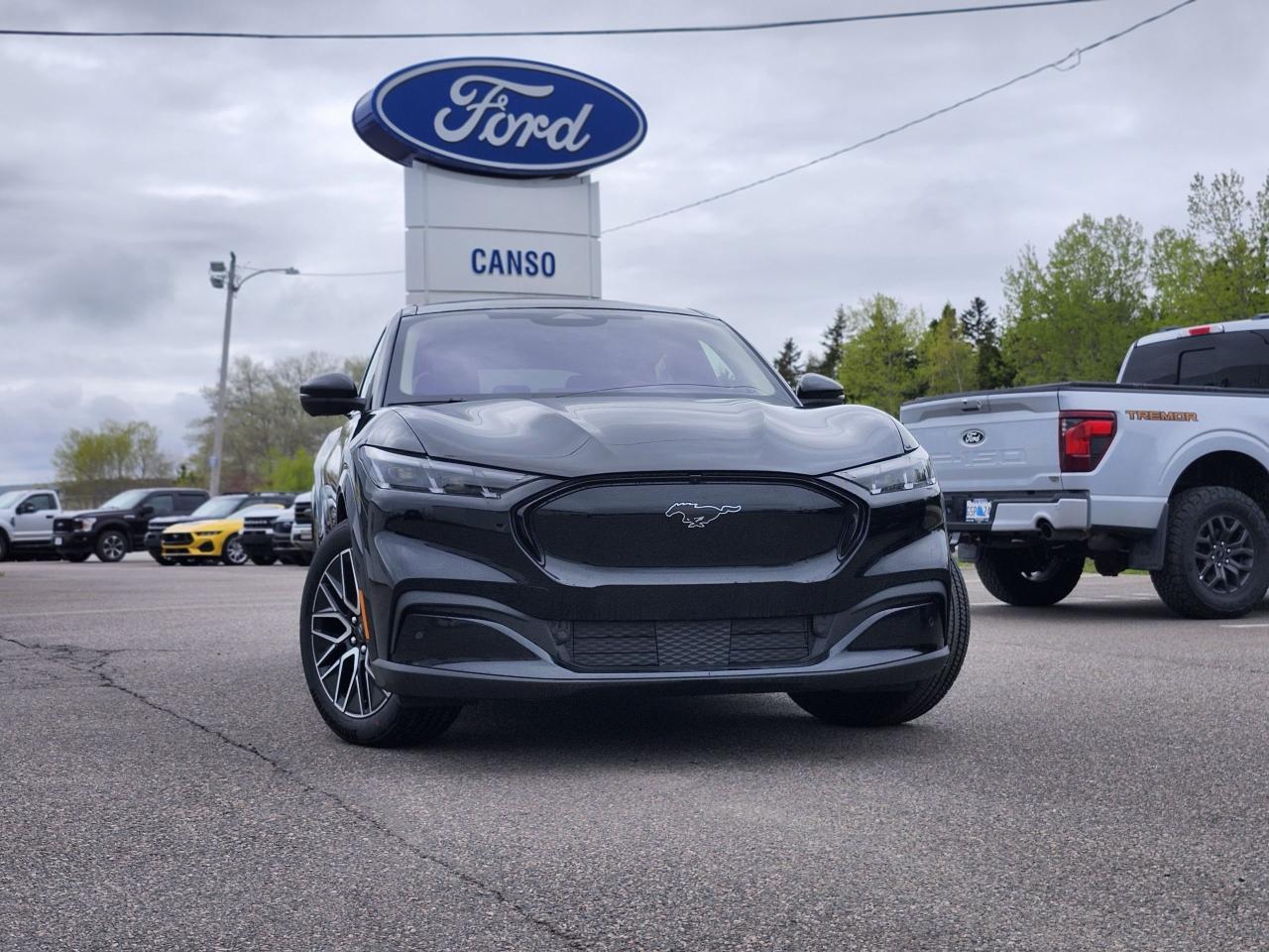 New 2025 Ford Mustang Mach-E Premium AWD for sale in Port Hawkesbury, NS