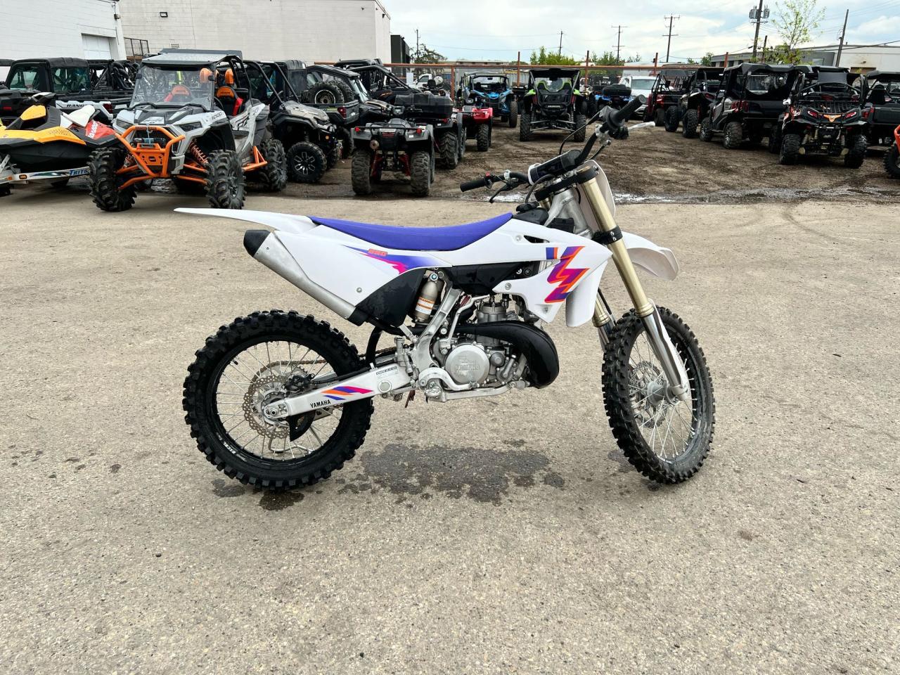 2024 Yamaha YZ250 ANNIVERSARY EDITION - Photo #3