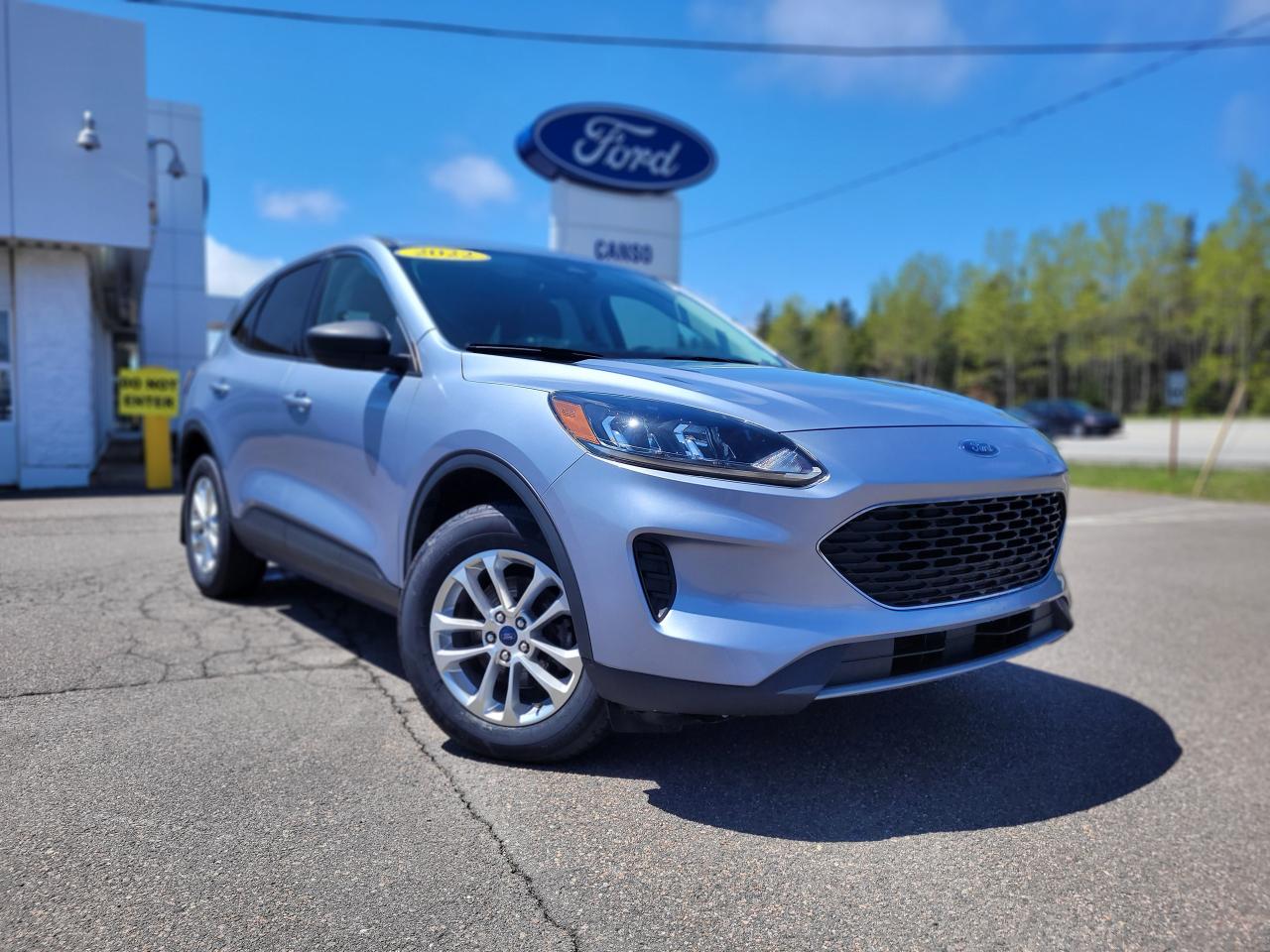 2022 Ford Escape SE AWD Photo0