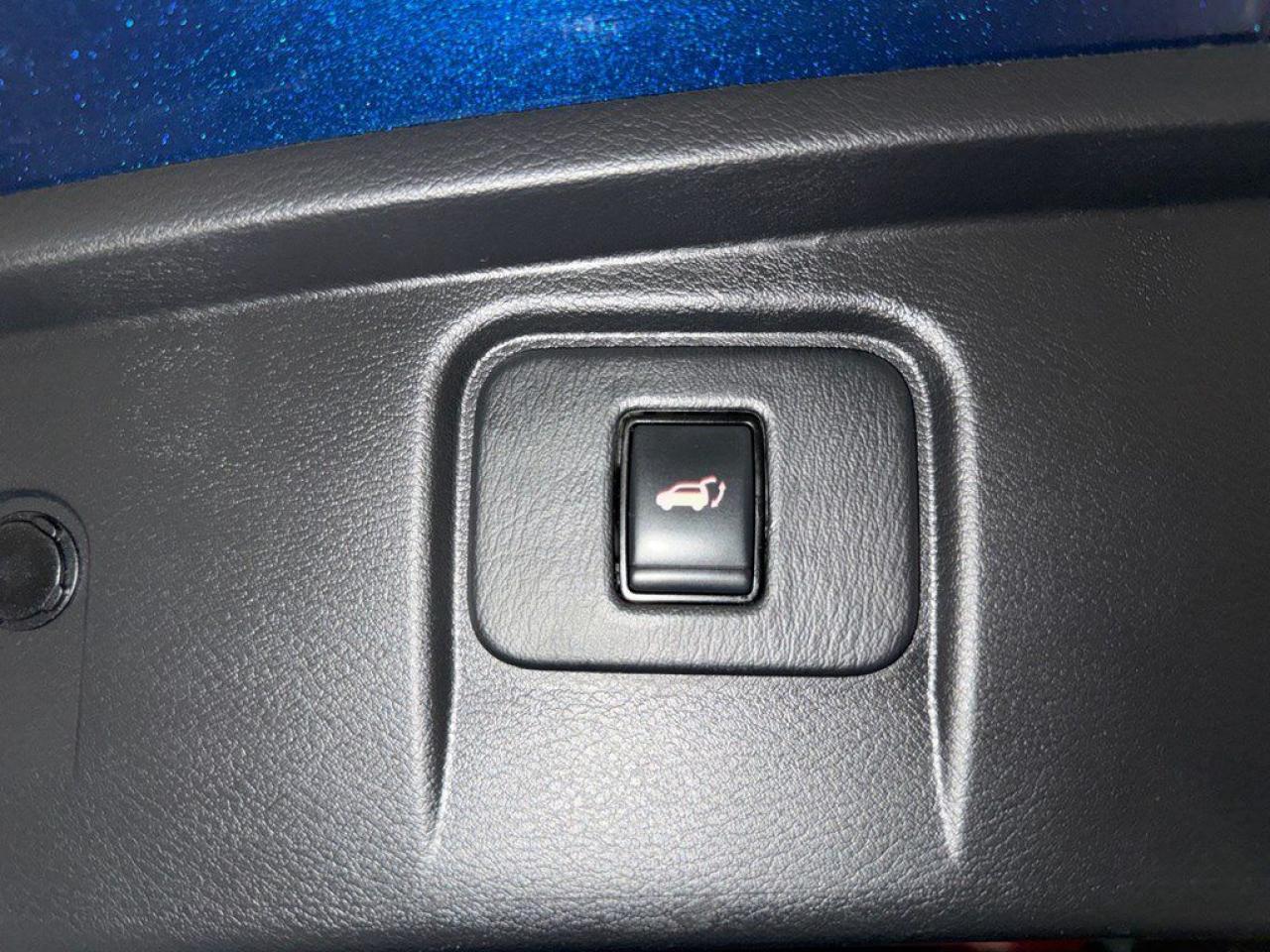 12559124