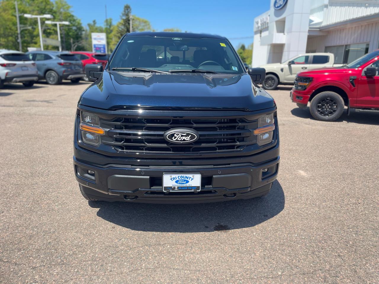 2025 Ford F-150 XLT Photo1