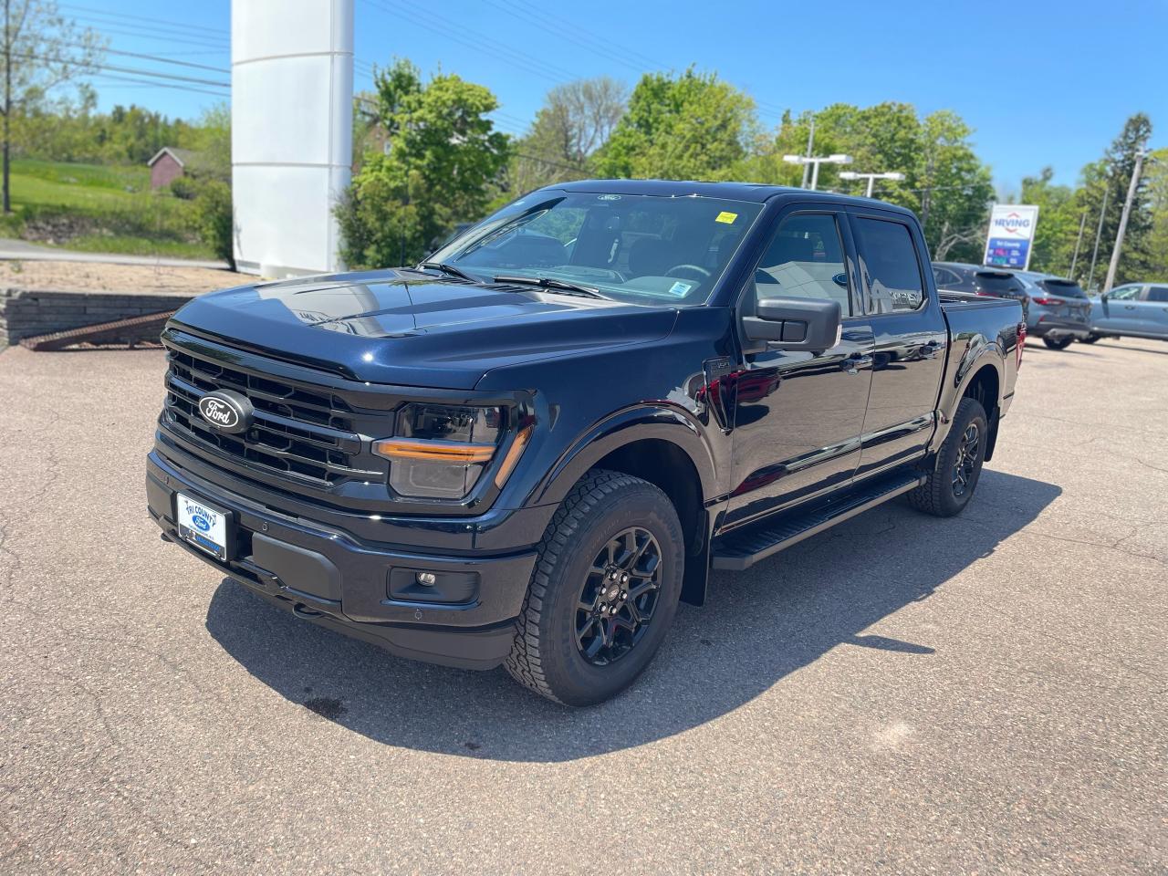 2025 Ford F-150 XLT Photo2