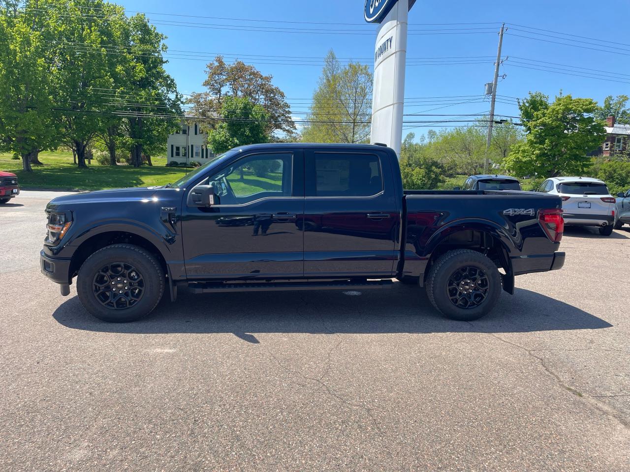 2025 Ford F-150 XLT Photo3