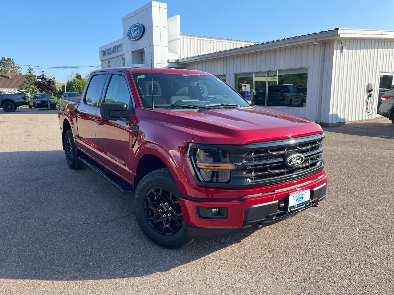 New 2025 Ford F-150 XLT for sale in Tatamagouche, NS
