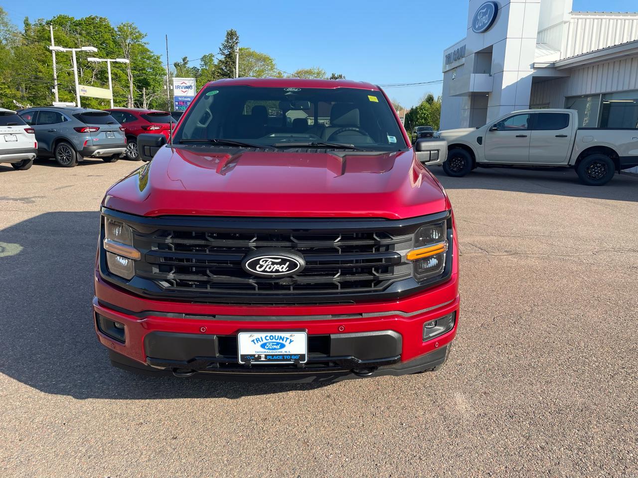 2025 Ford F-150 XLT Photo1