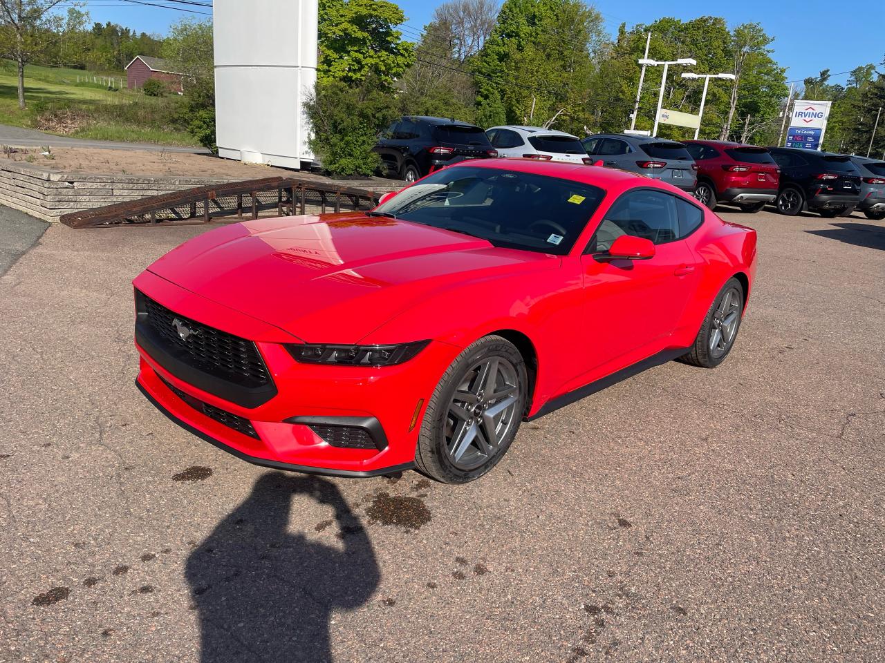 2025 Ford Mustang EcoBoost Photo2
