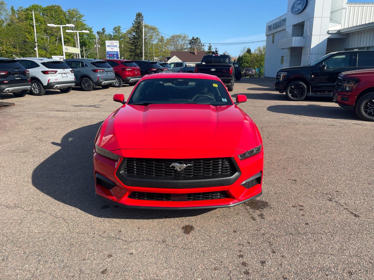 2025 Ford Mustang EcoBoost Photo1