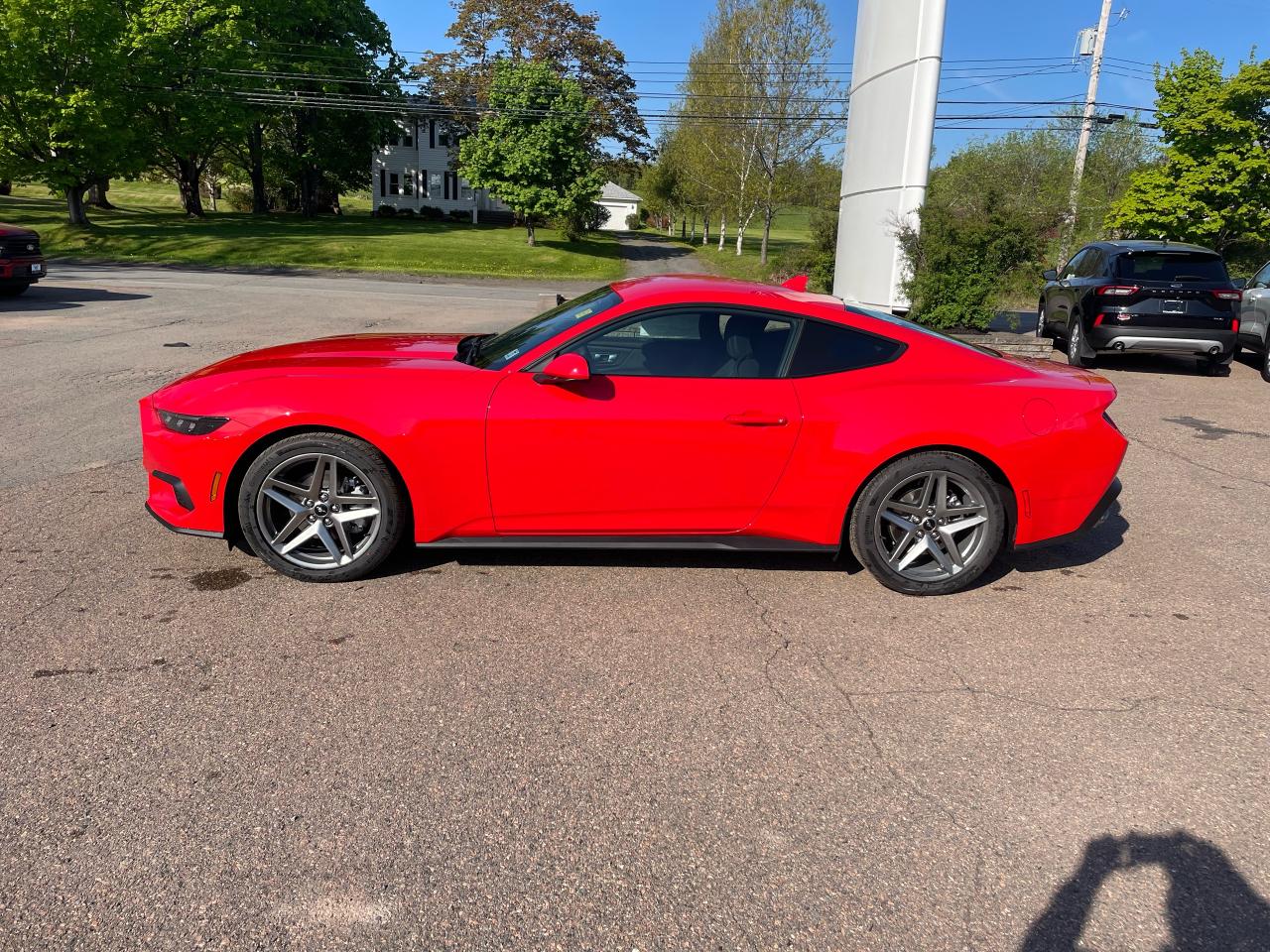 2025 Ford Mustang EcoBoost Photo3