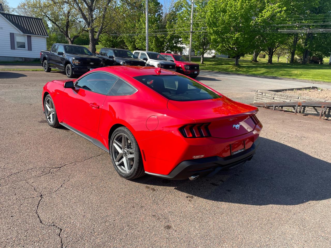 2025 Ford Mustang EcoBoost Photo4