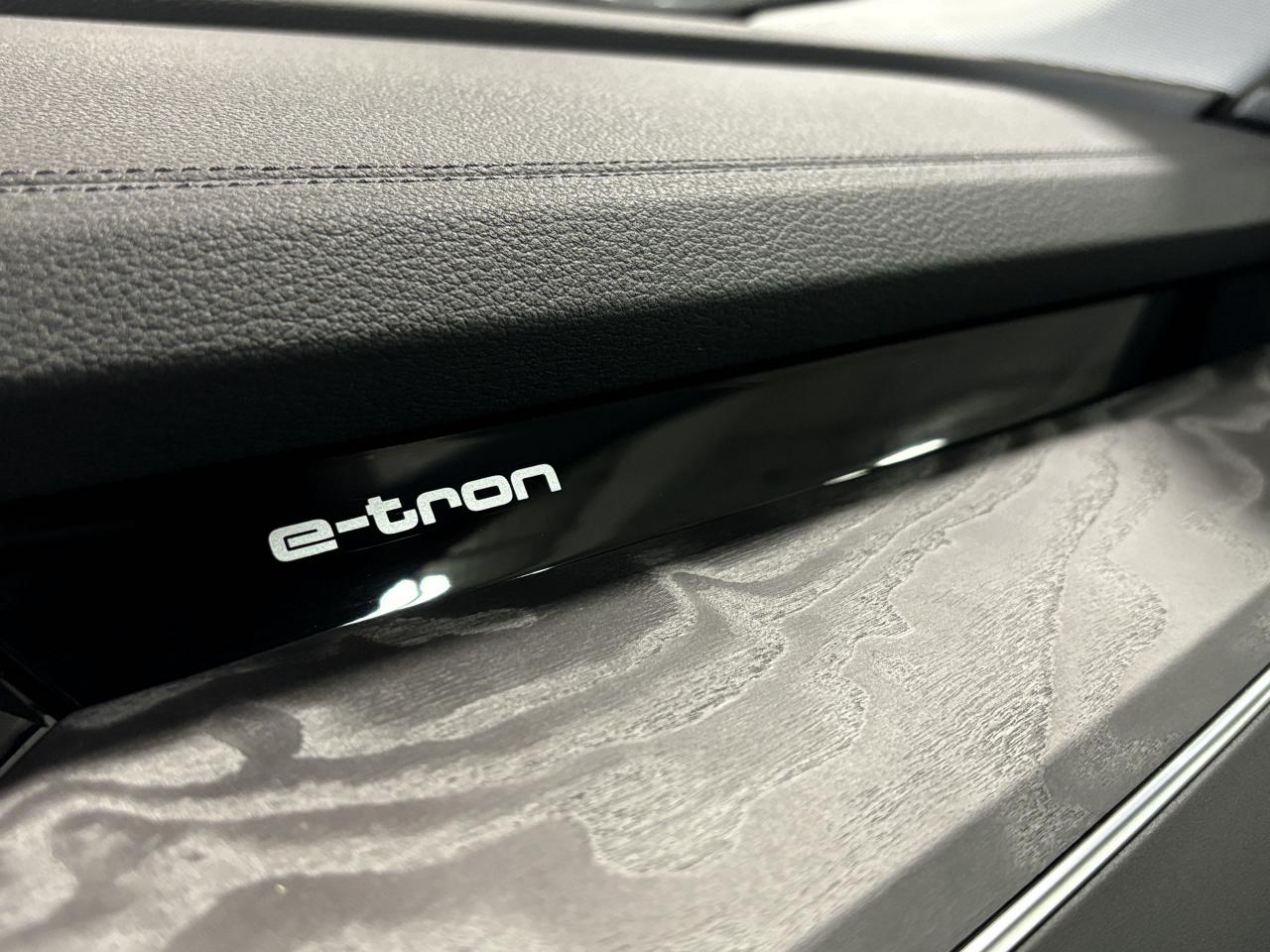 2019 Audi E-Tron Progressiv|QUATTRO|NAV|PANOROOF|LEATHER|ALLOYS|+++ - Photo #19