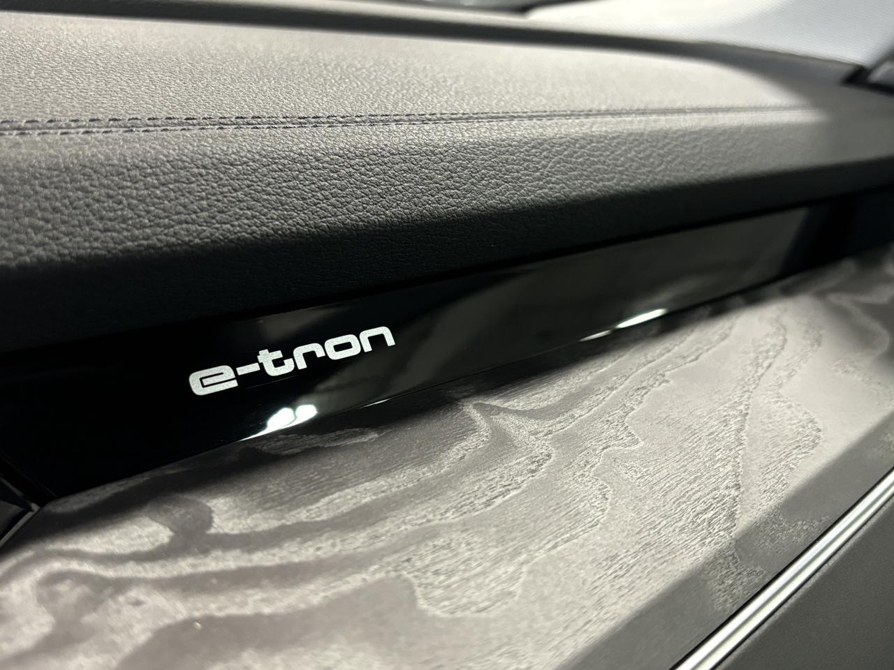 2019 Audi E-Tron Progressiv|QUATTRO|NAV|PANOROOF|LEATHER|ALLOYS|+++ - Photo #19